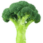 brocki4